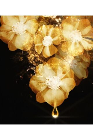 Elseve Saç Bakım Yağı Mucizevi Canlandırıcı 100ml