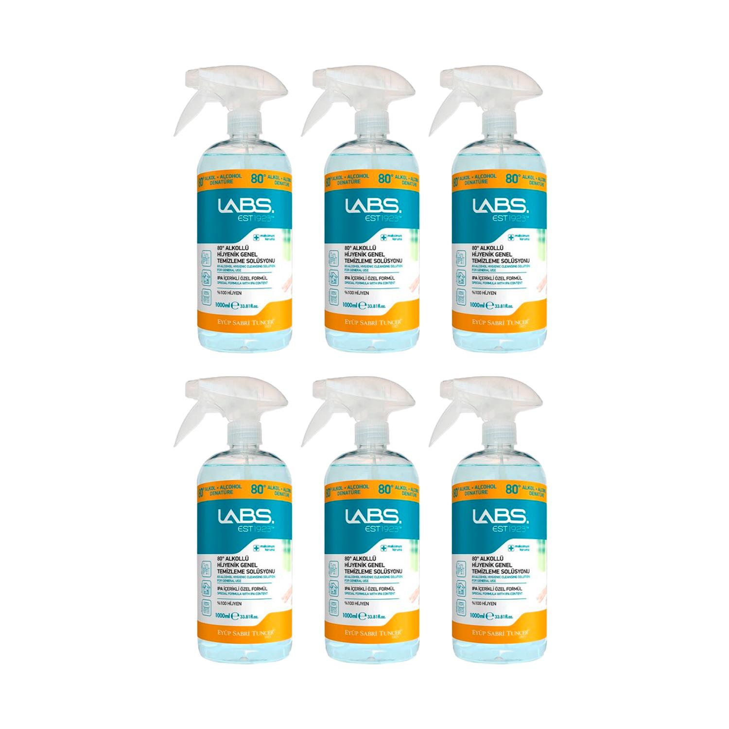 Eyüp Sabri Tuncer Ortam Dezenfektanı 80 Derece 1 Litre x 6