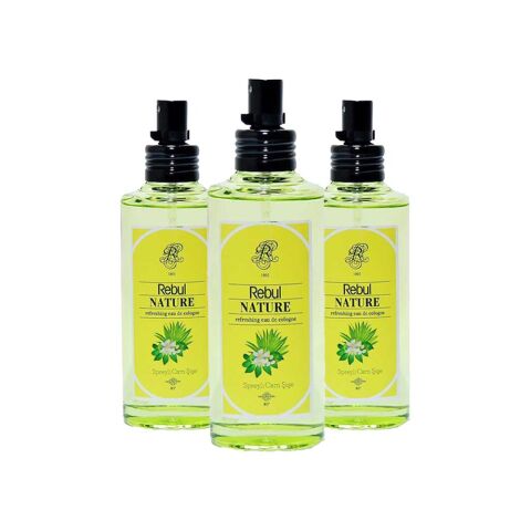 Rebul Nature Sprey Kolonya 100 ml x 3