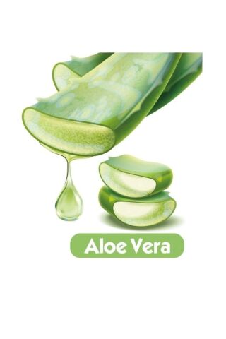 Baby Turco Softcare Aloe Vera Islak Bebek Havlusu 6 X 90 Yaprak