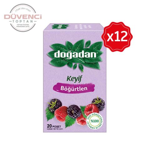 Doğadan Böğürtlenli Karışık Meyve Çayı 20'li x 12 Adet