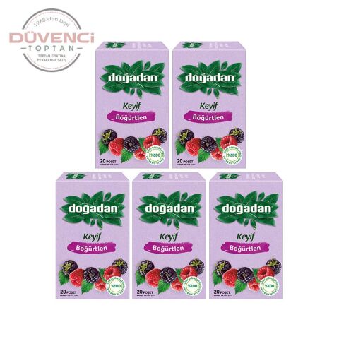 Doğadan Böğürtlenli Karışık Meyve Çayı 20'li x 5 Adet