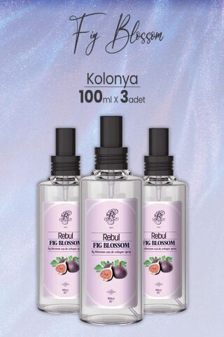 Rebul Fig Blossom Spreyli Cam Şişe İncir Kolonyası 100 ml x 3 Adet