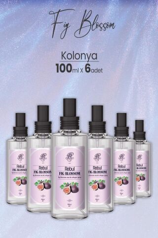 Rebul Fig Blossom Spreyli Cam Şişe İncir Kolonyası 100 ml x 6 Adet
