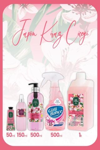 Eyüp Sabri Tuncer Kiraz Çiçeği Şenliği