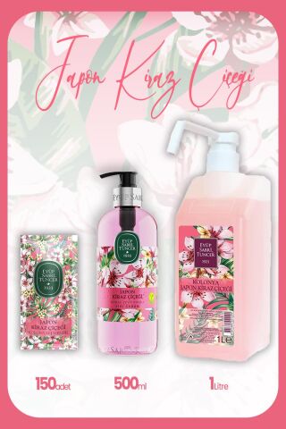 Eyüp Sabri Tuncer Japon Kiraz Çiçeği Set 8