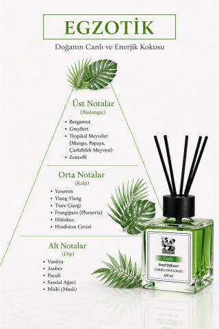 ROSIE Exotic Reed Diffuser Çubuklu Oda Kokusu 100 ml