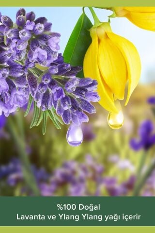 Palmolive Aroma Sensations Feel Relaxed Aromatik Duş Jeli 1000 ml