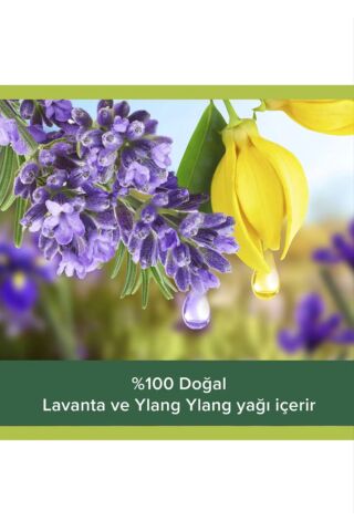Palmolive Aroma Sensations Feel Relaxed Aile Boyu Yedek Paket Duş Jeli 1000 ml