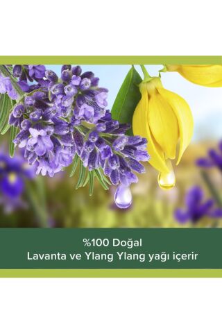 Palmolive Aroma Sensations Feel Relaxed 1000 ml Duş Jeli  Aile Boyu Yedek Paket