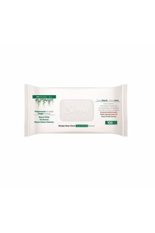 Sleepy Yüzey Temizleme Havlusu 100’lü