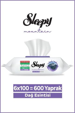 Sleepy Mountain Yüzey Temizlik Havlusu Dağ Esintisi 6x100 (600 Yaprak)