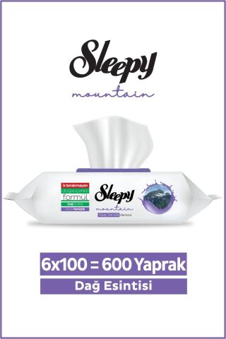 Sleepy Mountain Yüzey Temizlik Havlusu Dağ Esintisi 6x100 (600 Yaprak)