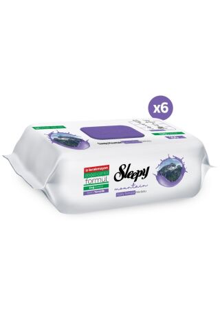 Sleepy Mountain Yüzey Temizlik Havlusu Dağ Esintisi 6x100 (600 Yaprak)