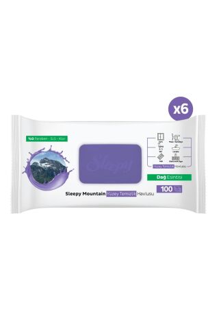 Sleepy Mountain Yüzey Temizlik Havlusu Dağ Esintisi 6x100 (600 Yaprak)