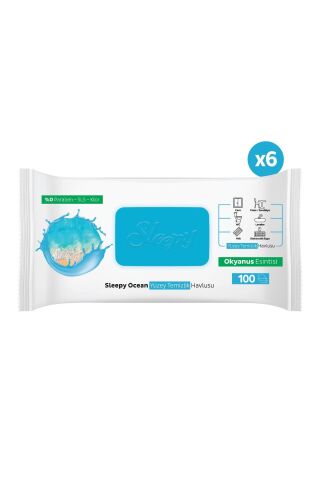Sleepy Ocean Yüzey Temizlik Havlusu Okyanus Esintisi 6x100 (600 Yaprak)