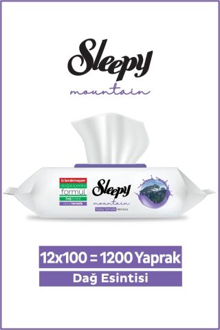 Sleepy Mountain Dağ Esintisi 12x100 (1200 Yaprak) Yüzey Temizlik Havlusu