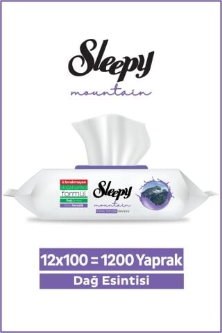 Sleepy Mountain Dağ Esintisi 12x100 (1200 Yaprak) Yüzey Temizlik Havlusu