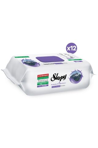 Sleepy Mountain Dağ Esintisi 12x100 (1200 Yaprak) Yüzey Temizlik Havlusu