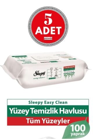 Easy Clean Yüzey Temizlik Havlusu 100' Lü X 5 Adet