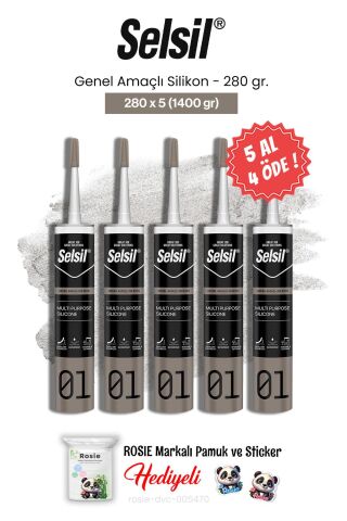 Selsil 5 AL 4 ÖDE Genel Amaçlı Silikon 280 gr ve rosie pamuk
