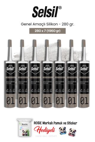 Selsil Genel Amaçlı Silikon 7 AL 6 ÖDE 280 gr ve rosie pamuk