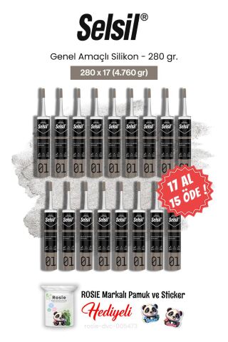 Selsil 280 gr Genel Amaçlı Silikon 17 AL 15 ÖDE ve rosie pamuk