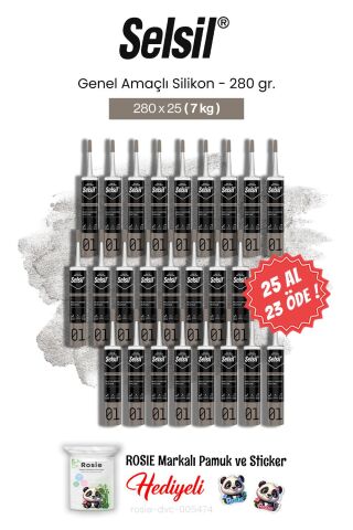 Selsil 280 gr 25 AL 23 ÖDE Genel Amaçlı Silikon ve rosie pamuk