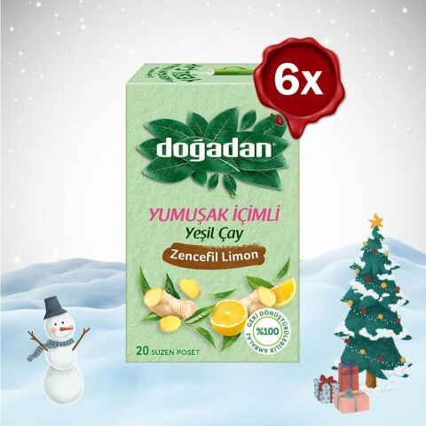 Doğadan Yılbaşı Paketi Yeşil Çay Yumuşak İçimli Zencefil Limon 20 li x 6