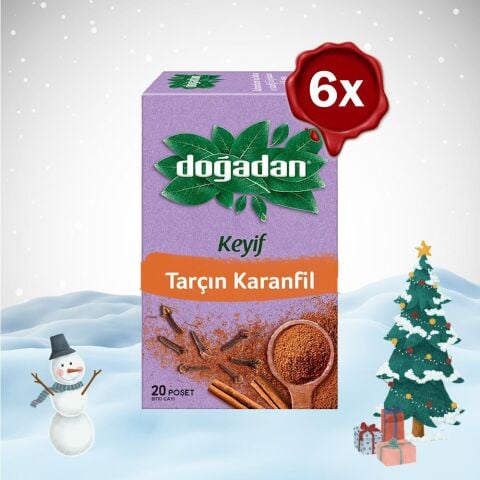 Doğadan Yılbaşı Paketi Tarçın ve Karanfil Bardak Poşet Çay 20'Li x 6