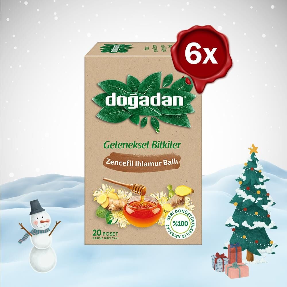 Doğadan Yılbaşı Paketi Zencefil Ihlamur Ballı Çay 20'li x 6