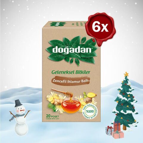 Doğadan Yılbaşı Paketi Zencefil Ihlamur Ballı Çay 20'li x 6