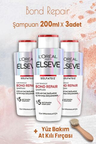 Elseve Bond Repair Şampuan 200 ml x 3 Adet ve Yüz Bakımı At Kılı Fırçası