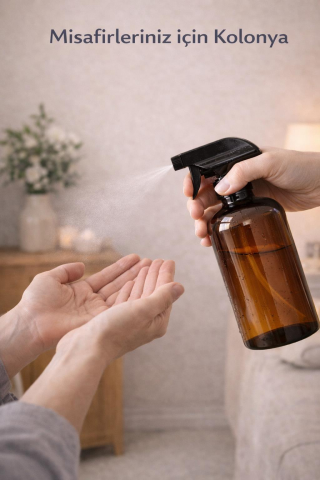Fısfıs Plastik Şişe 500 ML