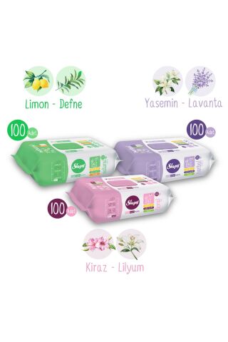 Sleepy Kişisel Bakım Havlusu Karma Paket 3x100 (300 Yaprak)