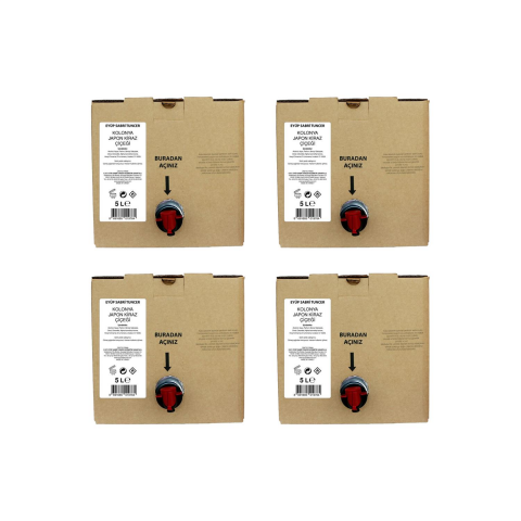 Eyüp Sabri Tuncer Japon Kiraz Çiçeği Kolonyası 5 lt x 4 Adet