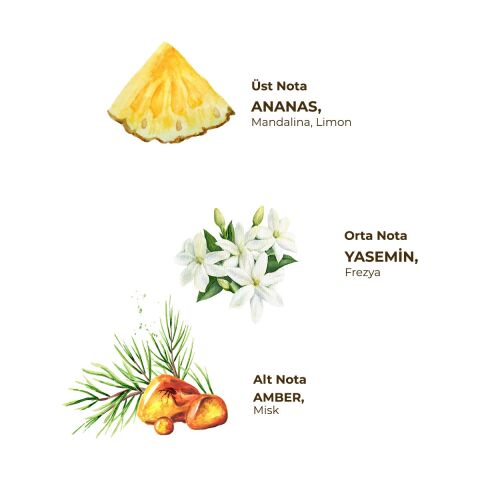 Eyüp Sabri Tuncer Hawaii Ananas 150 ml Sprey Kolonya - Pet Şişe