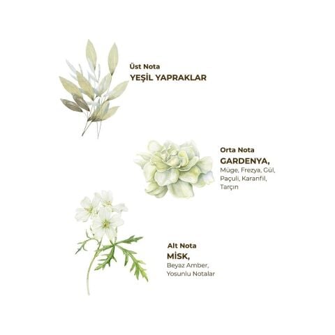 Ayvalık Zeytin Çiçeği Kolonyası 400 ml - Cam Şişe