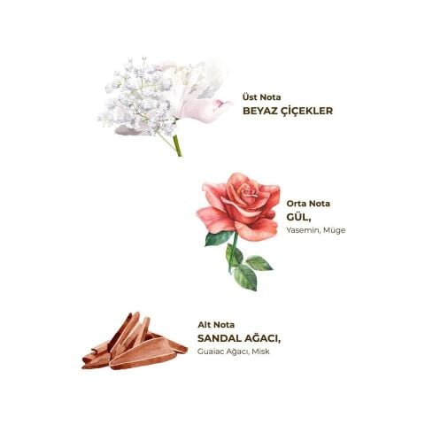 Hatıralar Kolonyası 200 ml - Cam Şişe