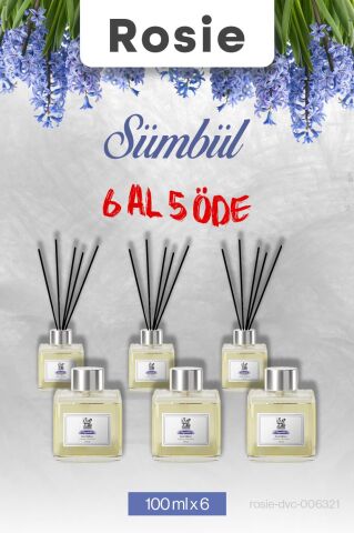 Sümbül 6 AL 5 ÖDE, Rosie Çubuklu Oda Kokusu 100 ml