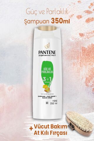 Pantene Şampuan Pro-V Güç ve Parlaklık 3'ü 1 Arada 350 ml ve Vücut Bakım At Kılı Fırçası