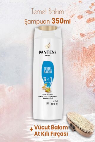 Pantene Şampuan Pro-V Temel Bakım 3'ü 1 Arada 350 ml ve Vücut Bakım At Kılı Fırçası