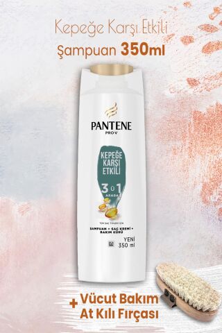Pantene Şampuan Pro-V Kepek Karşıtı 3'ü 1 Arada 350 ml ve Vücut Bakım At Kılı Fırçası