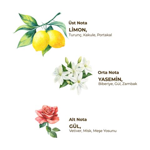 Eyüp Sabri Tuncer 250 ml Tıraş Kolonyası No:4