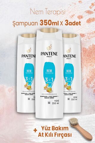 Pantene Şampuan Pro-V Nem Terapisi 3'ü 1 Arada 350 ml x 3 Adet ve Yüz Bakım At Kılı Fırçası