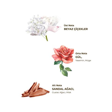 Hatıralar Kolonyası 400 ml - Cam Şişe