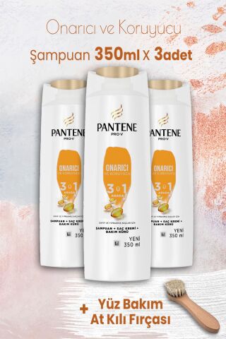 Pantene Şampuan Pro-V Onarıcı 3'ü 1 Arada 350 ml x 3 Adet ve Yüz Bakım At Kılı Fırçası