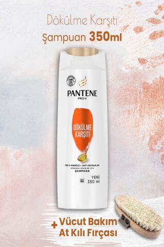 Pantene Şampuan Pro-V Dökülme Karşıtı 350 ml ve Vücut Bakım At Kılı Fırçası