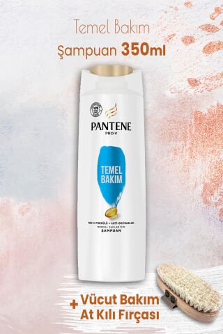 Pantene Şampuan Pro-V Temel Bakım 350 ml ve Vücut Bakım At Kılı Fırçası