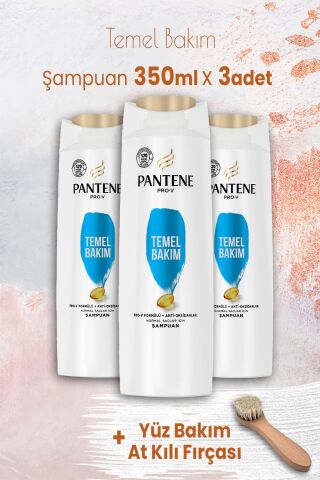 Pantene Şampuan Pro-V Temel Bakım 350 ml x 3 Adet ve Yüz Bakım At Kılı Fırçası